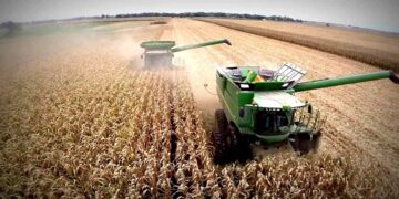 Los precios mundiales de los alimentos se acercaron a los máximos en una década