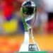El Gobierno autorizó a suscribir las garantías para organizar el Mundial Sub 20