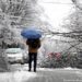 Importante tormenta de hielo en Canadá