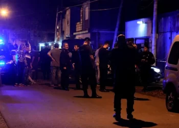 Secuestraron más de 1600 semillas de marihuana en el ingreso de un tour de compras desde Chile