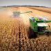 Referentes de los candidatos prometen levantar restricciones a las exportaciones del campo