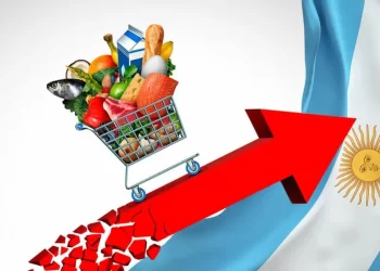 La inflación de julio fue del 6,3% y la anualizada del 113,4%