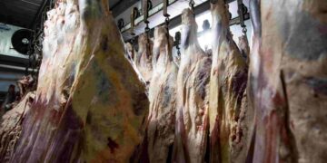 Las exportaciones de carne están en niveles máximos desde 2009