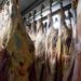 Las exportaciones de carne están en niveles máximos desde 2009