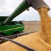 La liquidación de divisas de la agroexportación se desplomó un 75% en septiembre