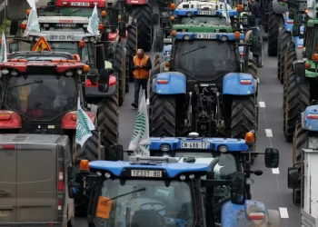 Tractorazo en Europa: agricultores se manifiestan en las calles