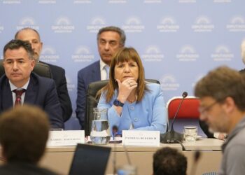 Ley ómnibus: Patricia Bullrich anunció que se retira el polémico artículo que limitaba reuniones de tres o más personas