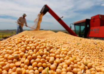 Brasil busca exportar soja y maíz desde Perú