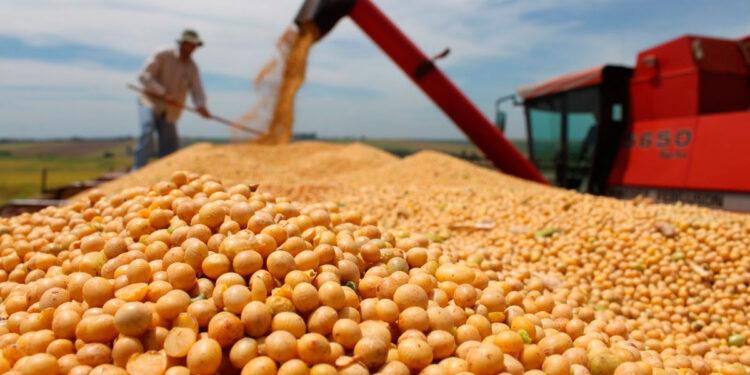 Brasil busca exportar soja y maíz desde Perú