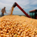 Brasil busca exportar soja y maíz desde Perú